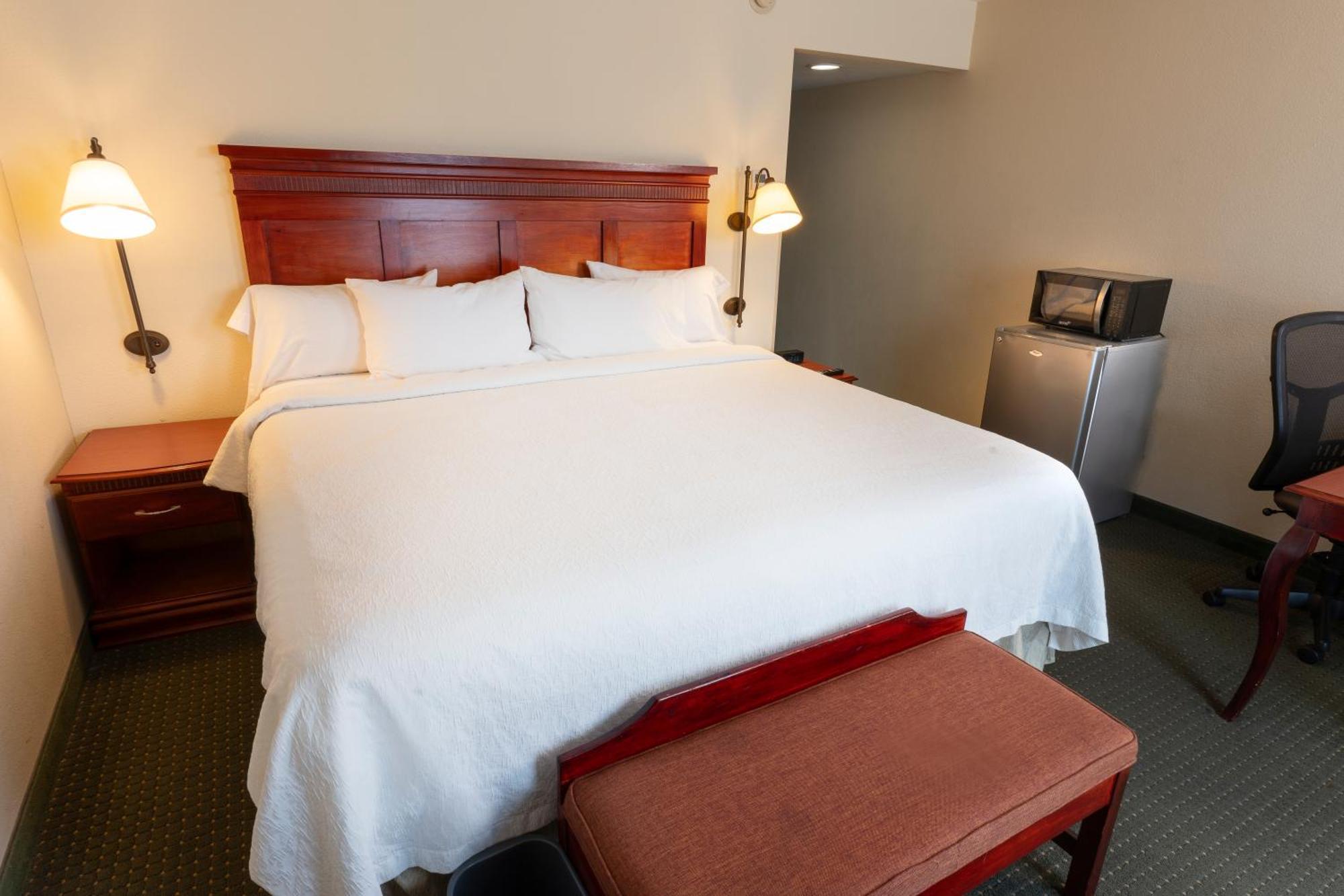Hampton Inn By Hilton Guadalajara-Aeropuerto Las Pintas Ngoại thất bức ảnh